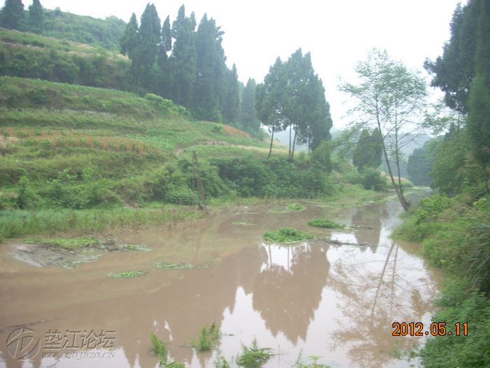 垫江县大石乡滴水村漏潭沟蓄水工程已经启动,建坝位置在漏潭沟瀑布上