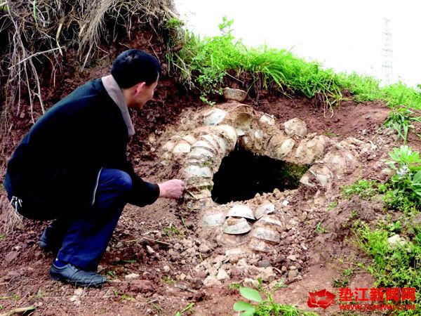 桂溪镇西湖村发现一碗墓 上千只青花瓷碗叠砌而成
