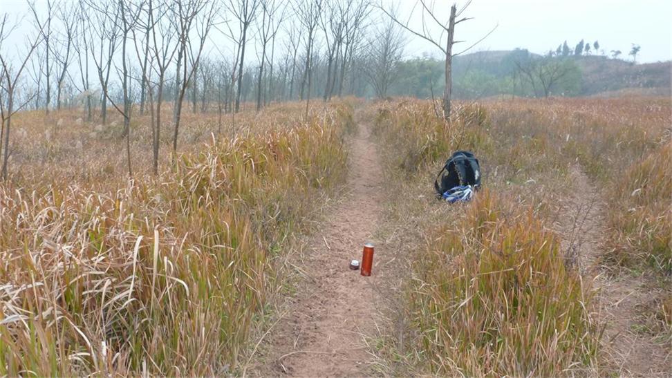 草庙陈村人口普查_草庙村基本概况(3)