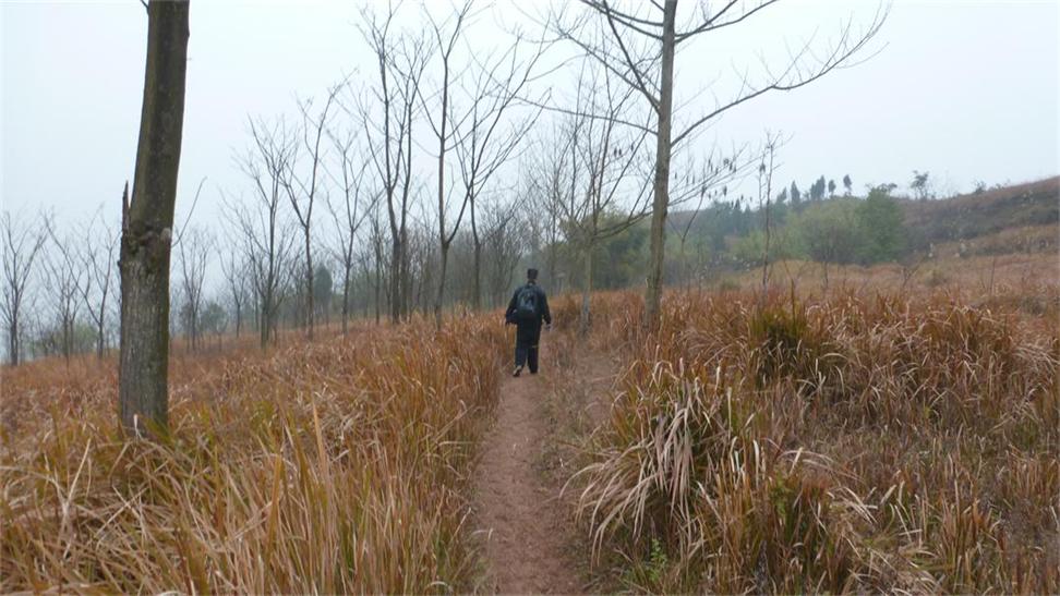 草庙陈村人口普查_草庙村基本概况