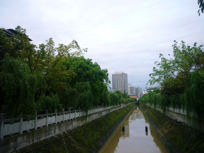 清晨滨河路