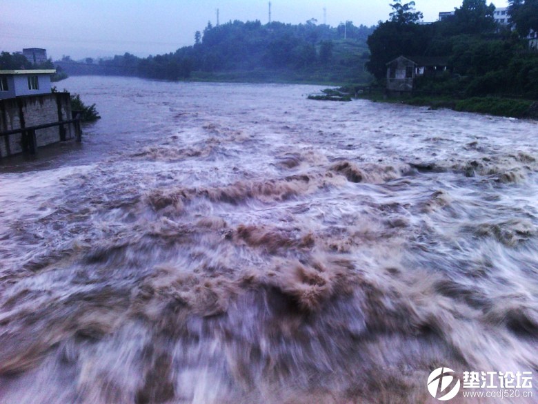 龙溪河涨大水了