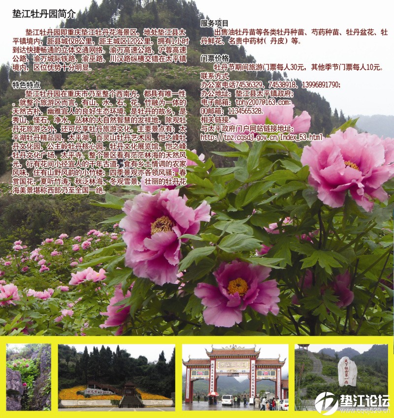 垫江牡丹园