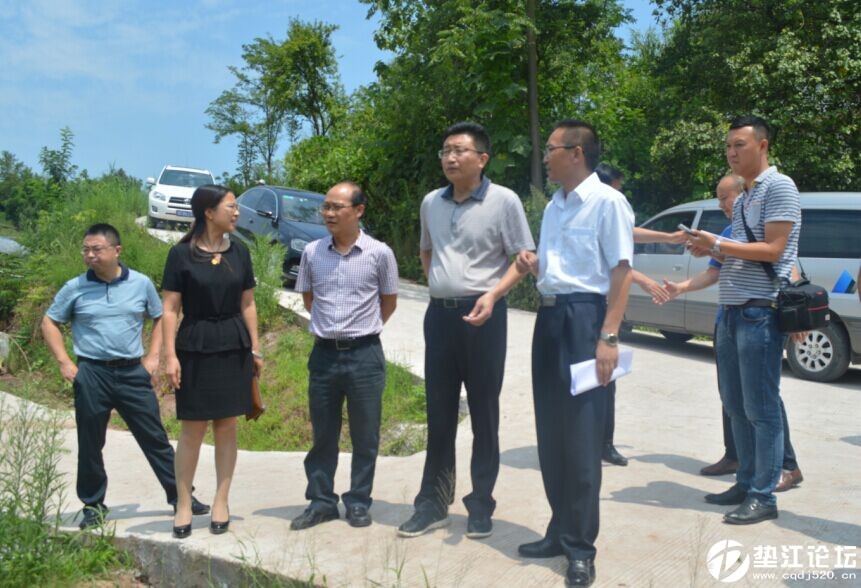 县委书记蒲彬彬一行到大石乡调研工作 垫江热点 垫江网