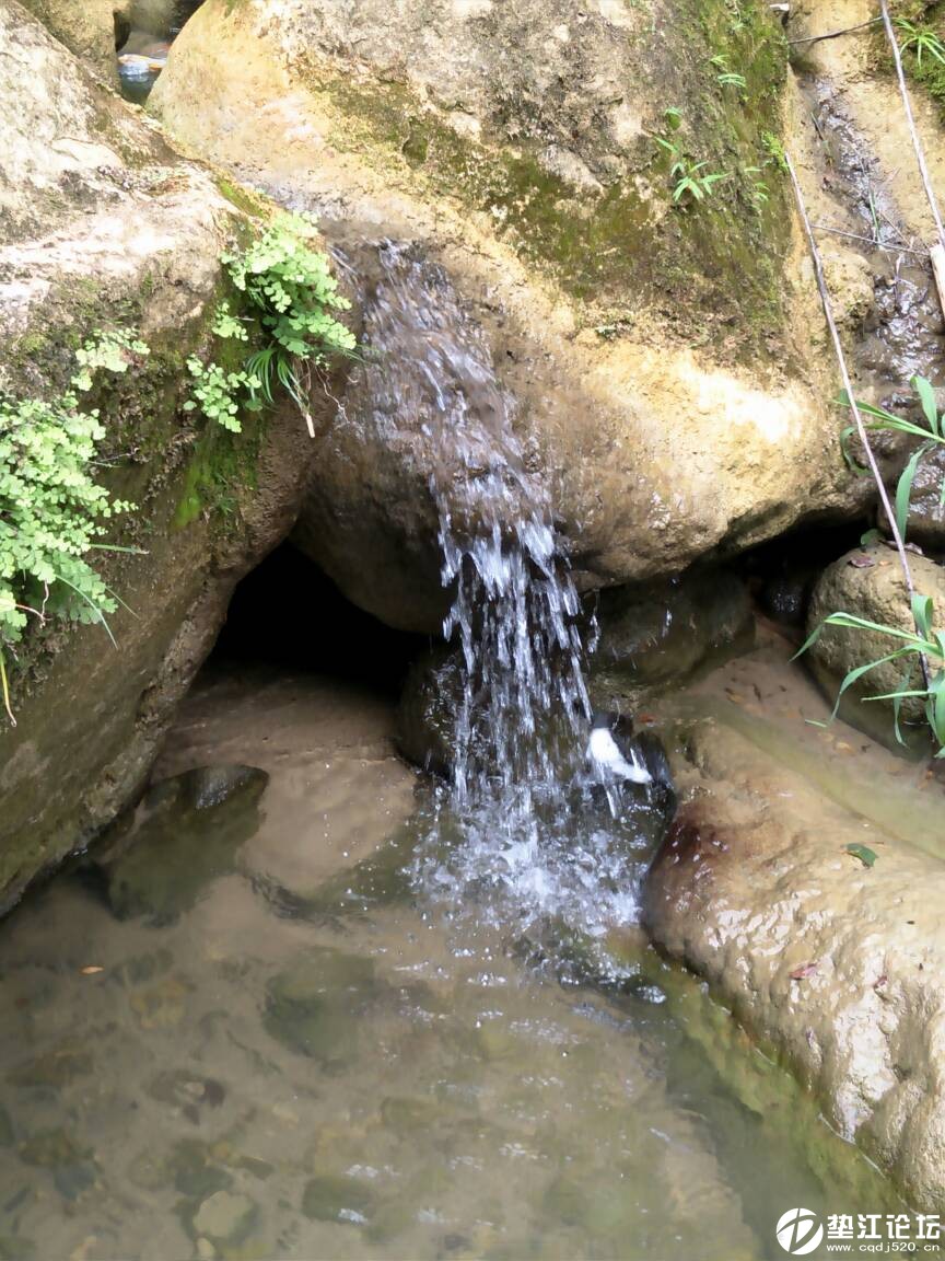 垫江鹞子岩原生态风景区