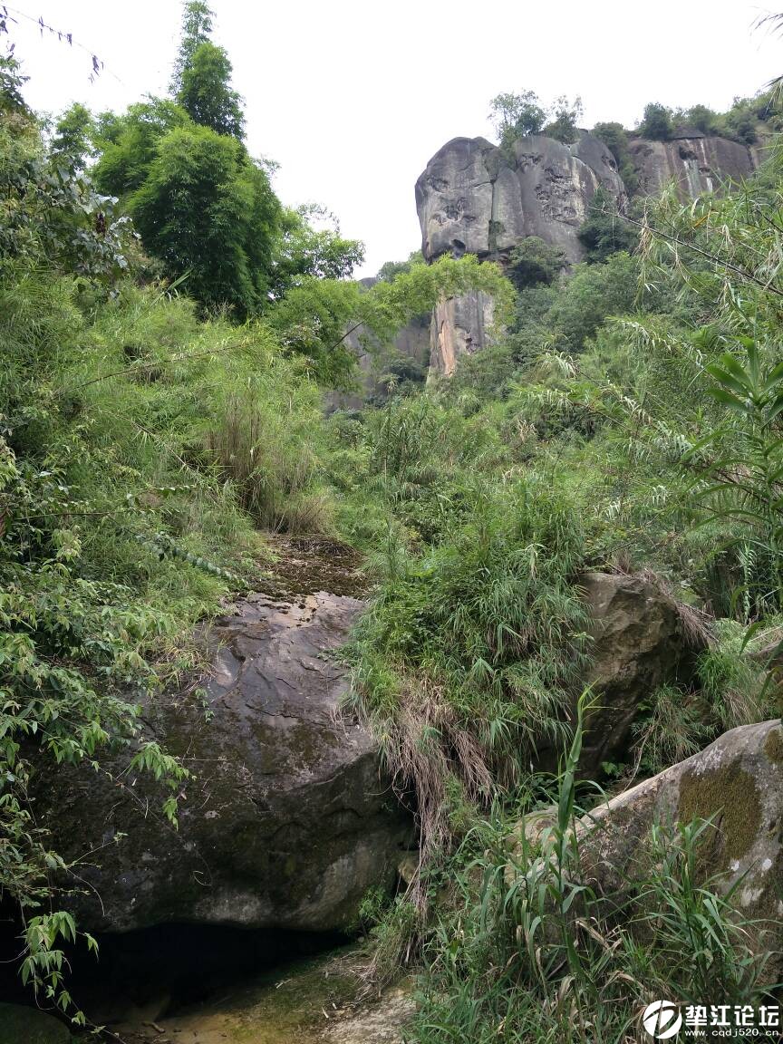 垫江鹞子岩原生态风景区