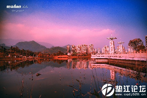 牡丹湖 - 垫江摄影 垫江论坛