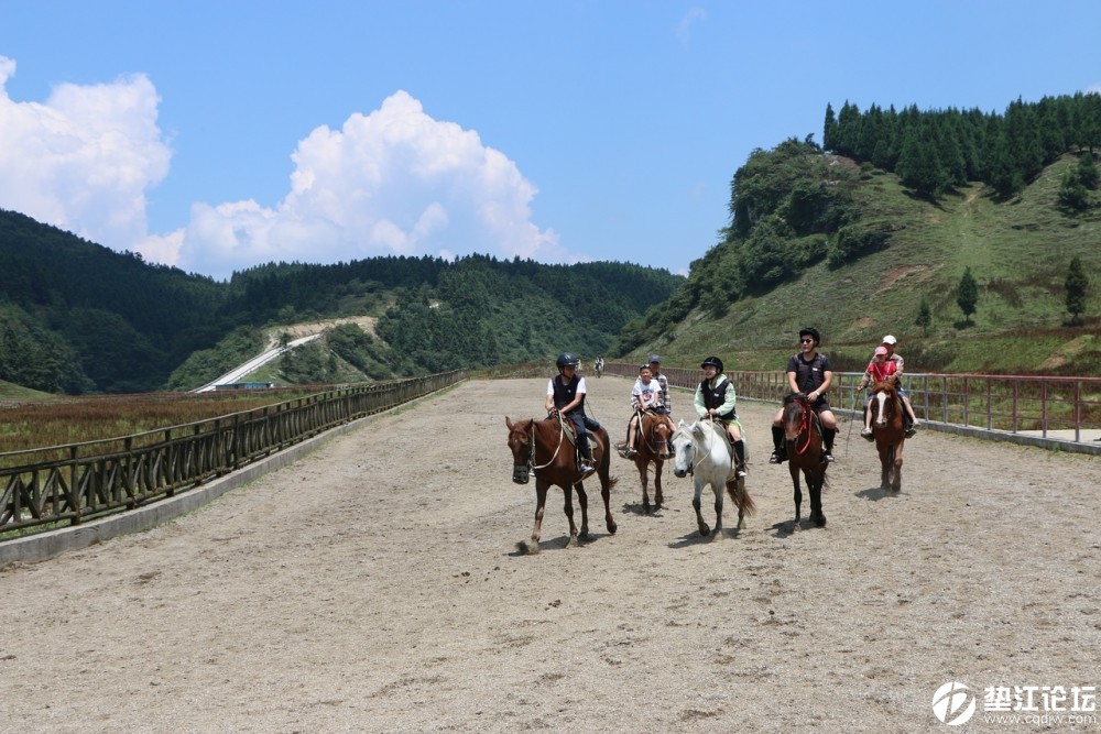 风光摄影仙女山跑马场