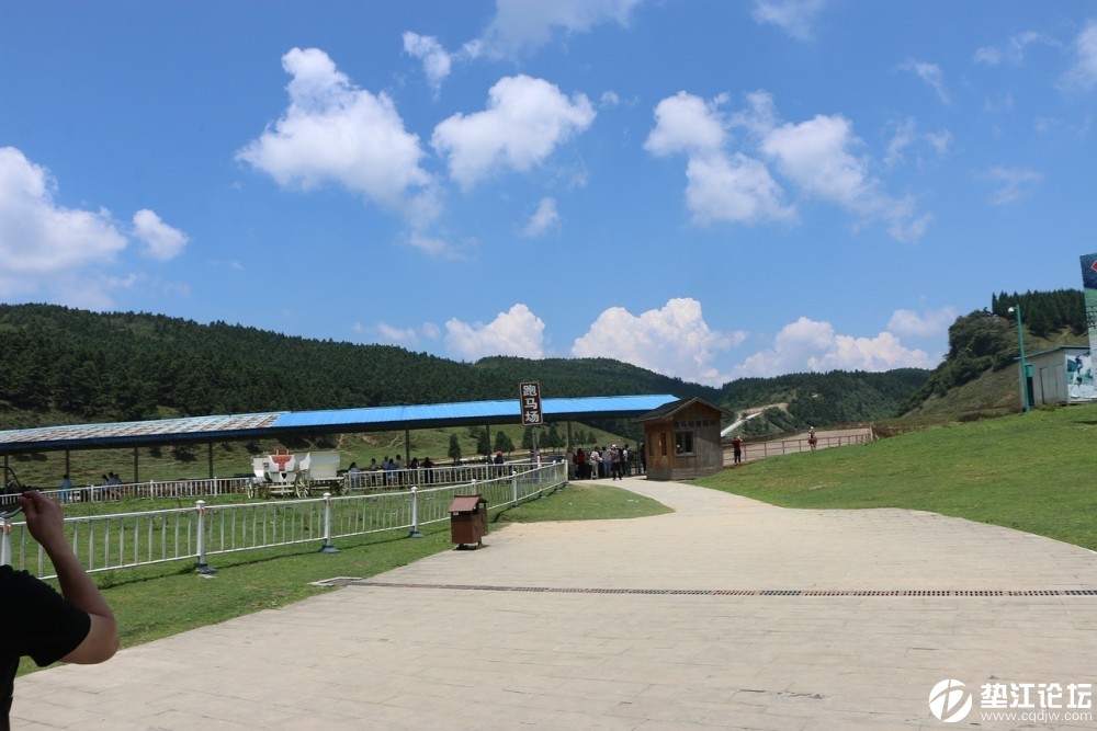 风光摄影仙女山跑马场