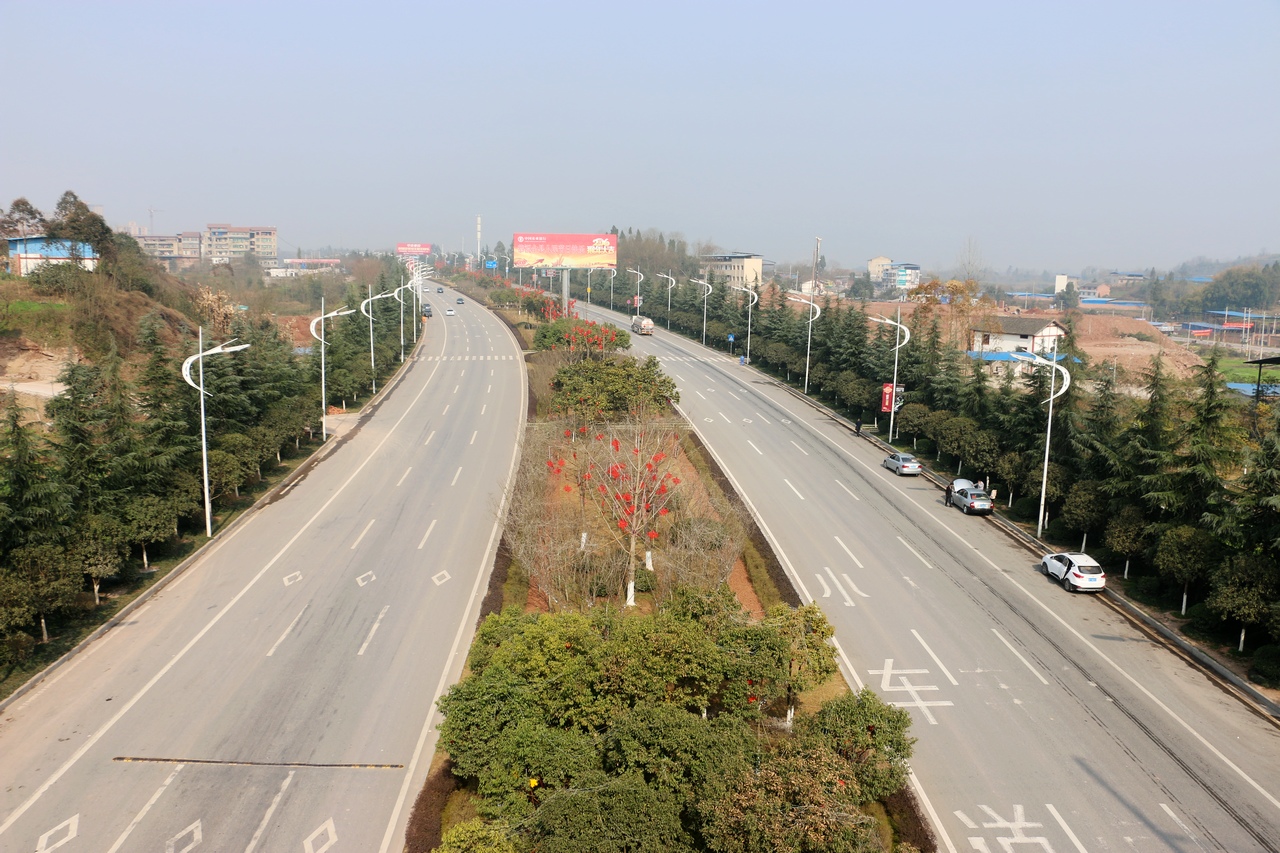 渝万铁路跨线桥上鸟瞰牡丹大道