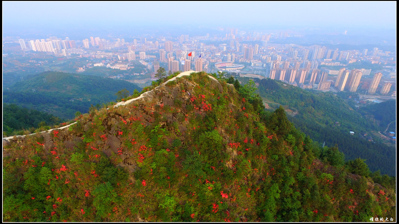 你会来吗我在红旗山