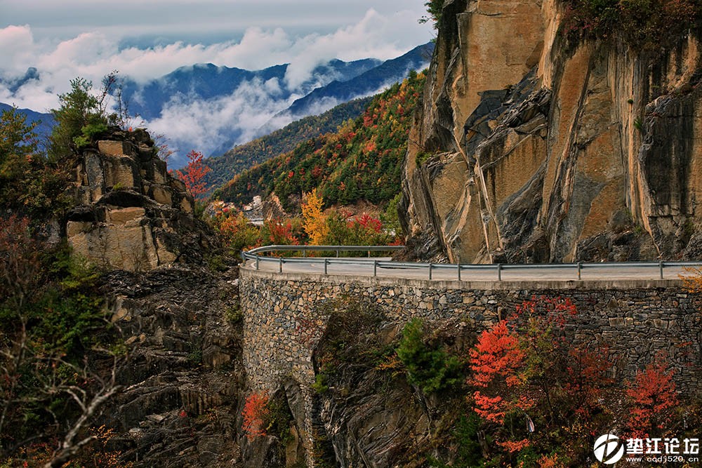 《山路》2016年10月22日拍于城口一碗水风景区,作者:李益凤,通讯地址