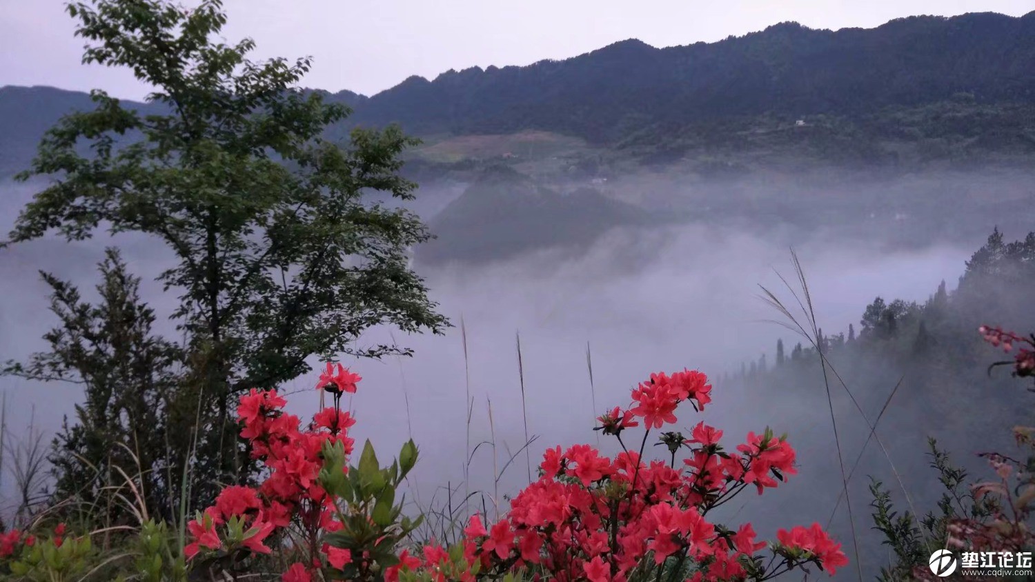 红旗山分外妖娆 